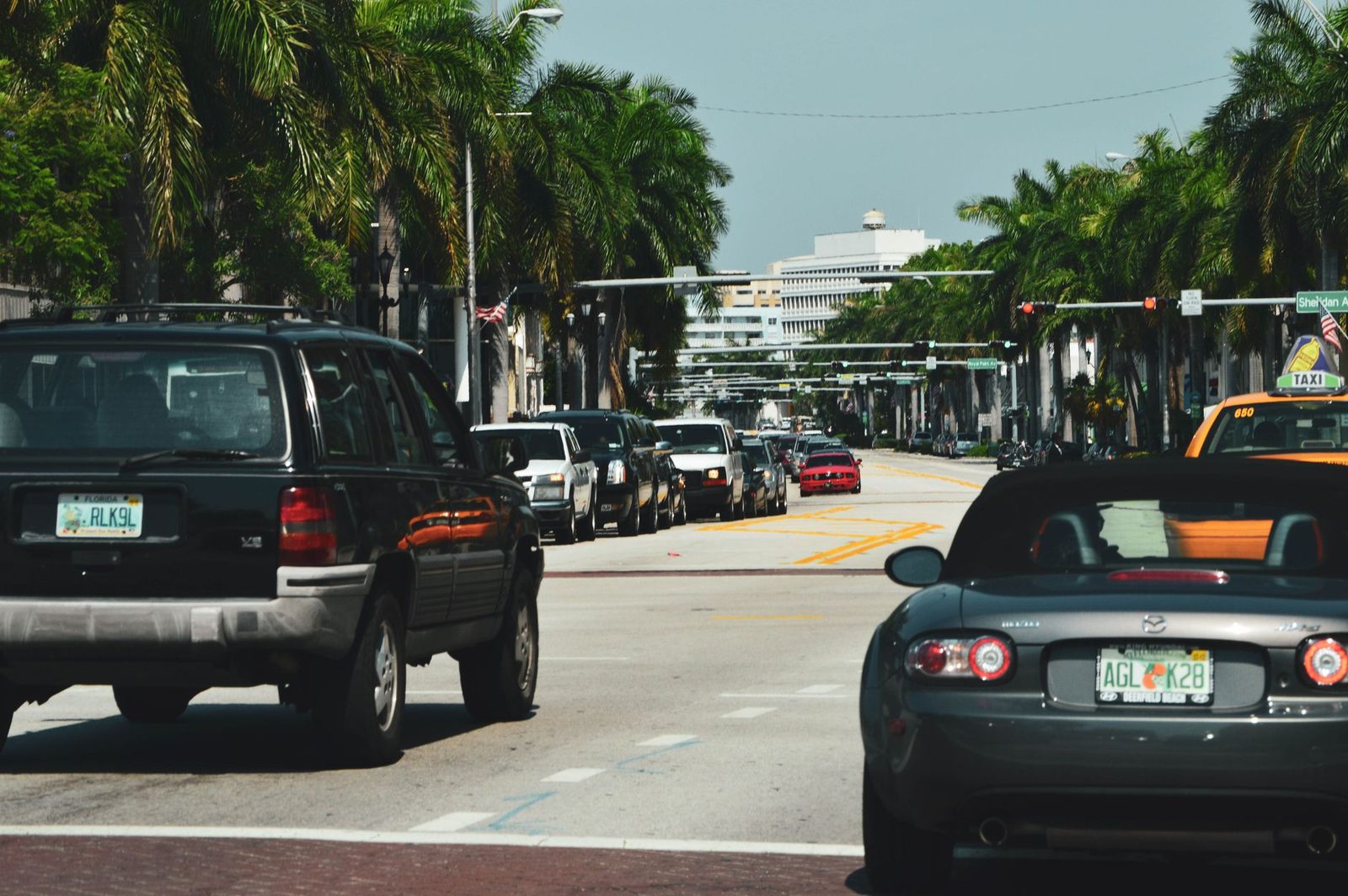 Calle concurrida de Miami bordeada de palmeras y coches durante el día.
