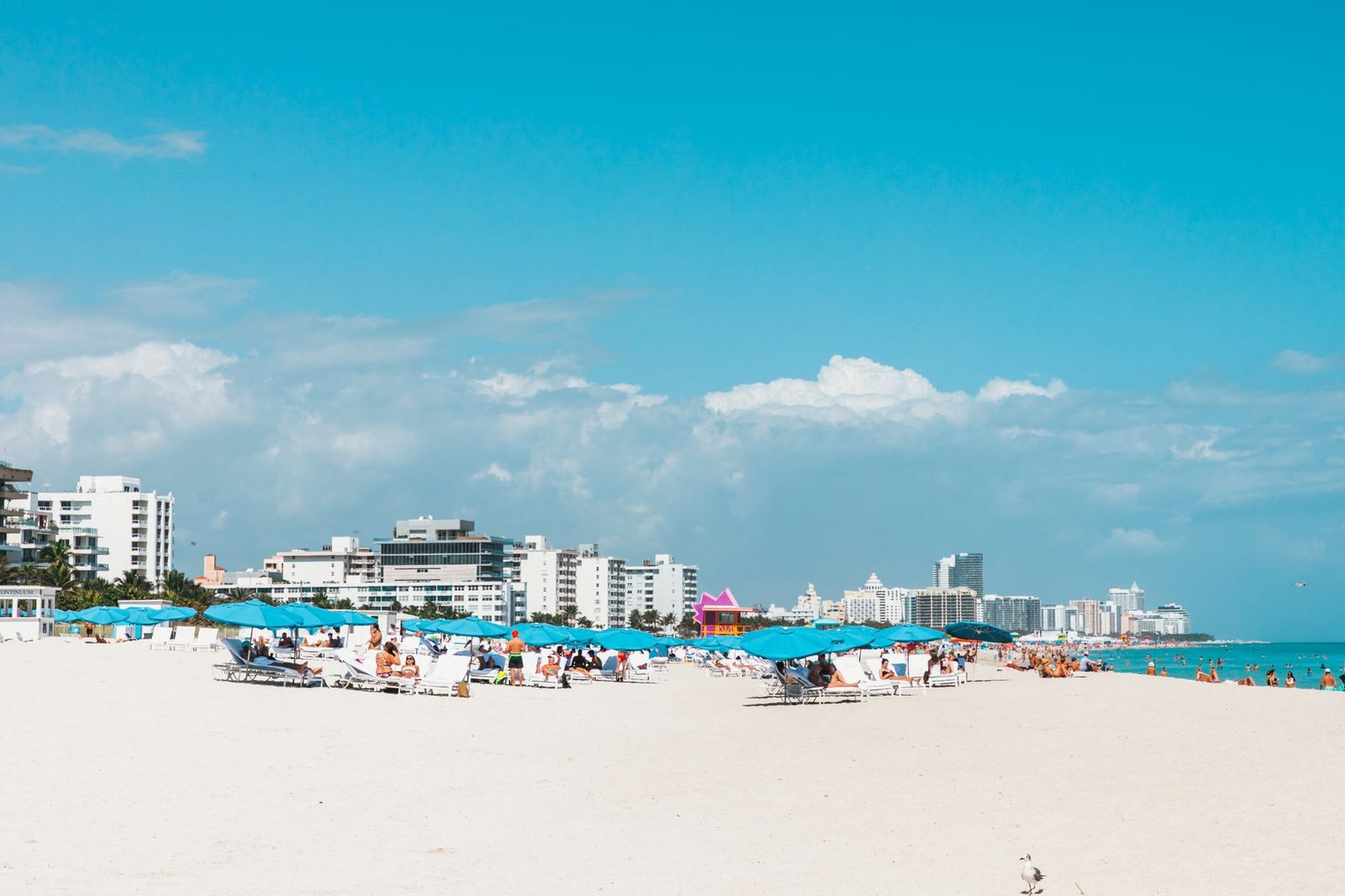 Playa de Miami Beach con sombrillas azules y horizonte de la ciudad bajo cielo soleado.