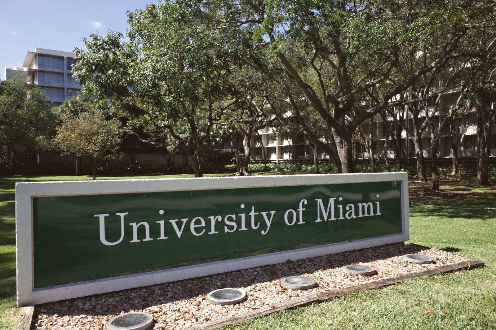 University of Miami campus entrance surrounded by lush green trees on a sunny day.